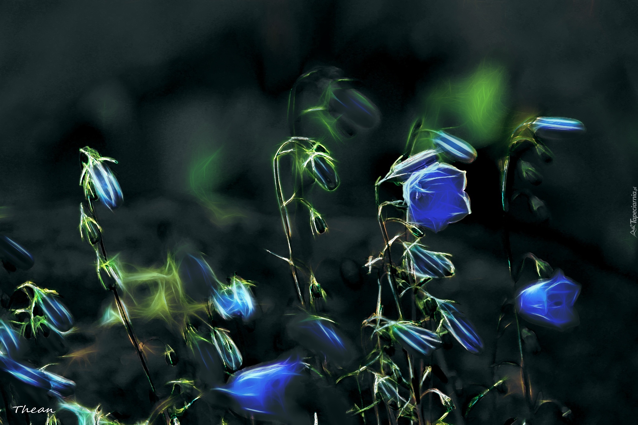Niebieskie, Kwiatki, Fractalius