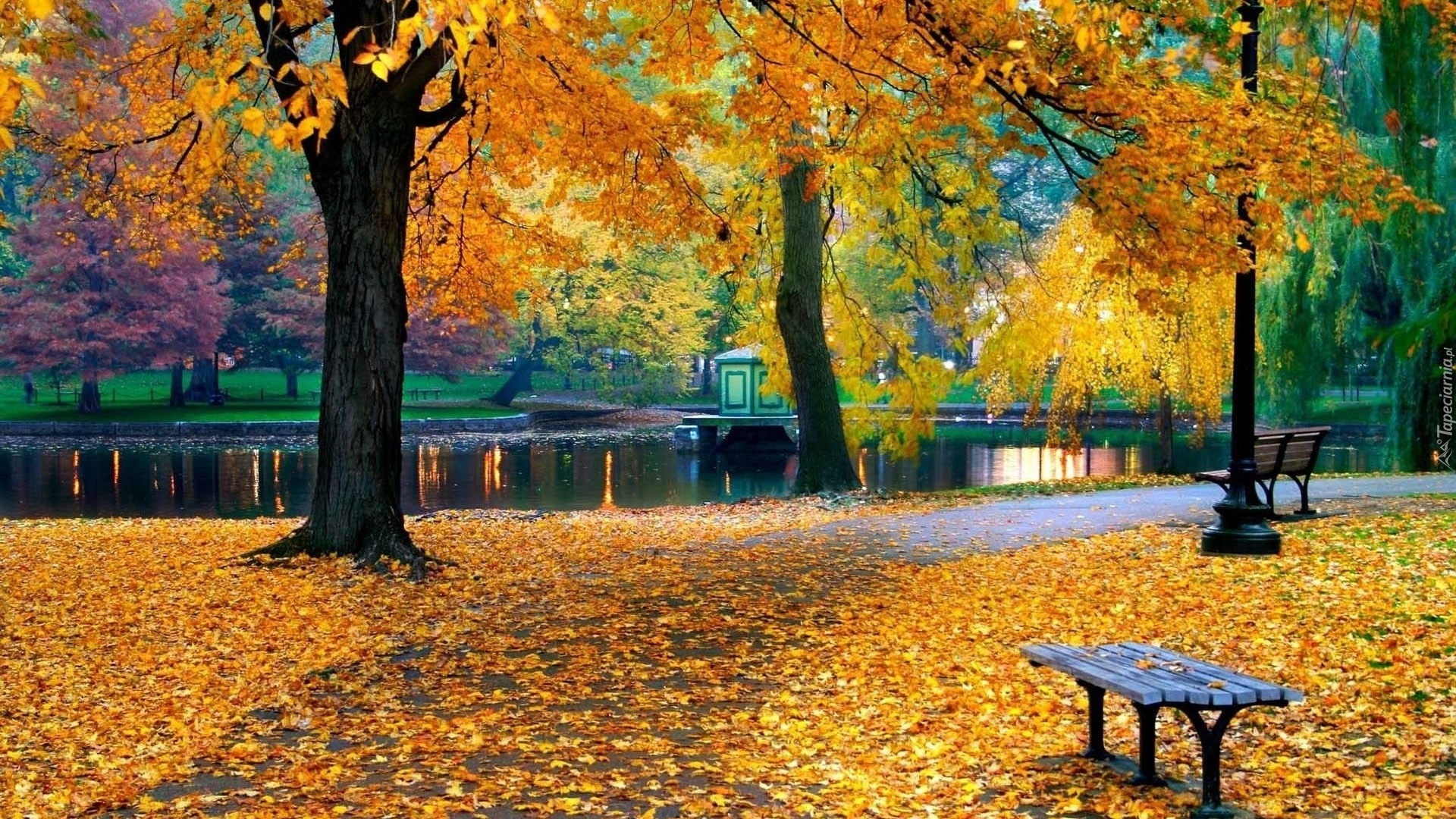 Park, Rzeka, Ławka, Jesień