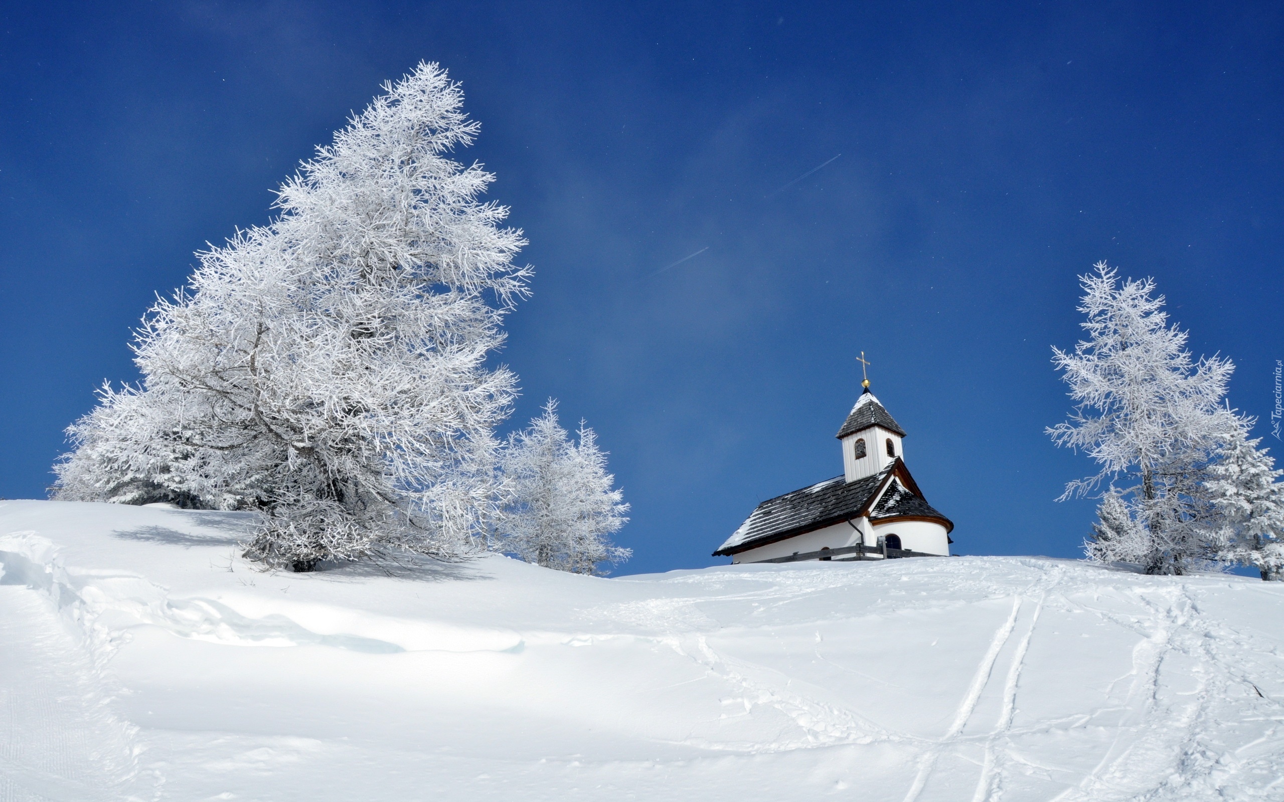 Kościółek, Drzewa, Zima