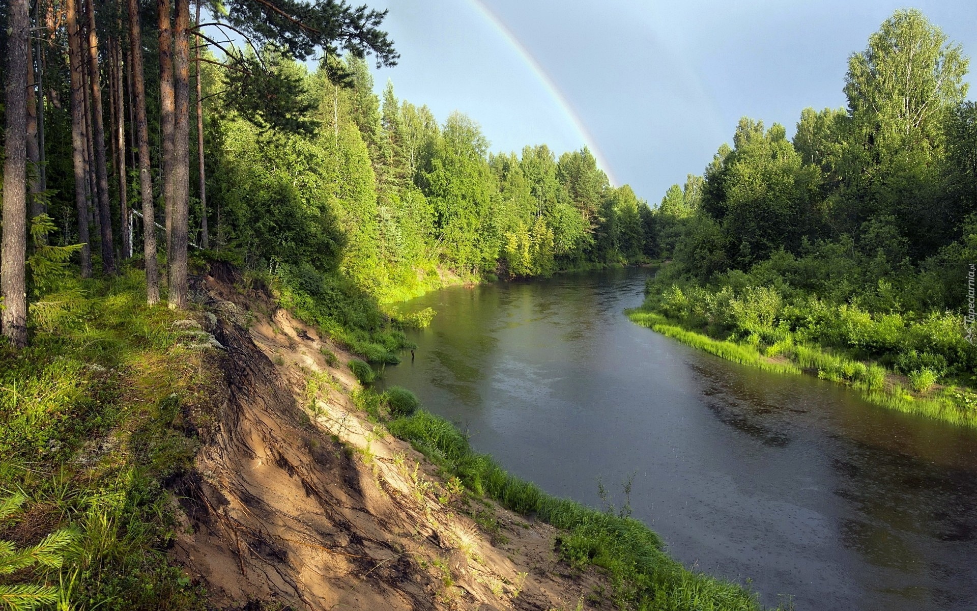 Rzeka, Las, Skarpa, Tęcza