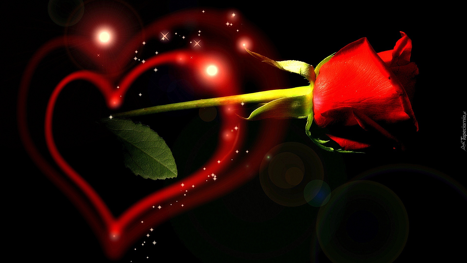 Walentynki, Serce, Czerwona, Róża