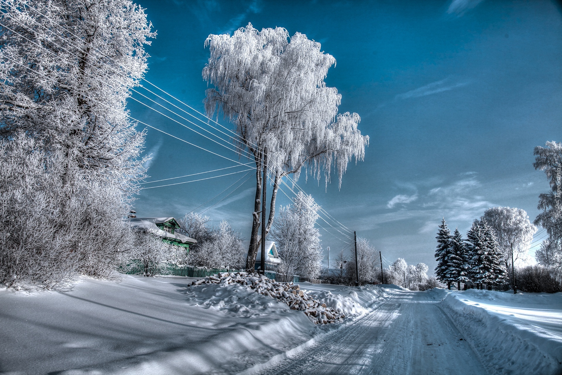 Drzewa, Droga, Śnieg, Zima