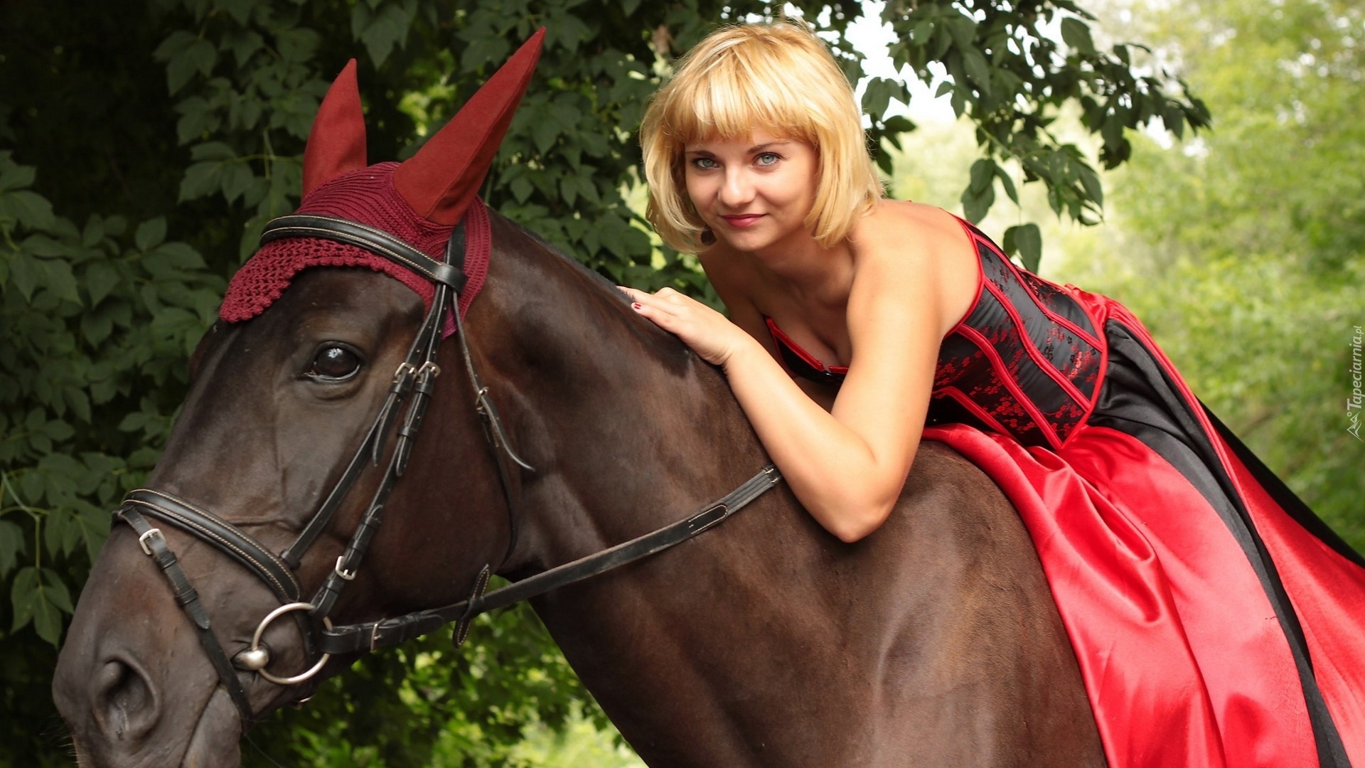 Kobieta, Blondynka, Koń, Uszy