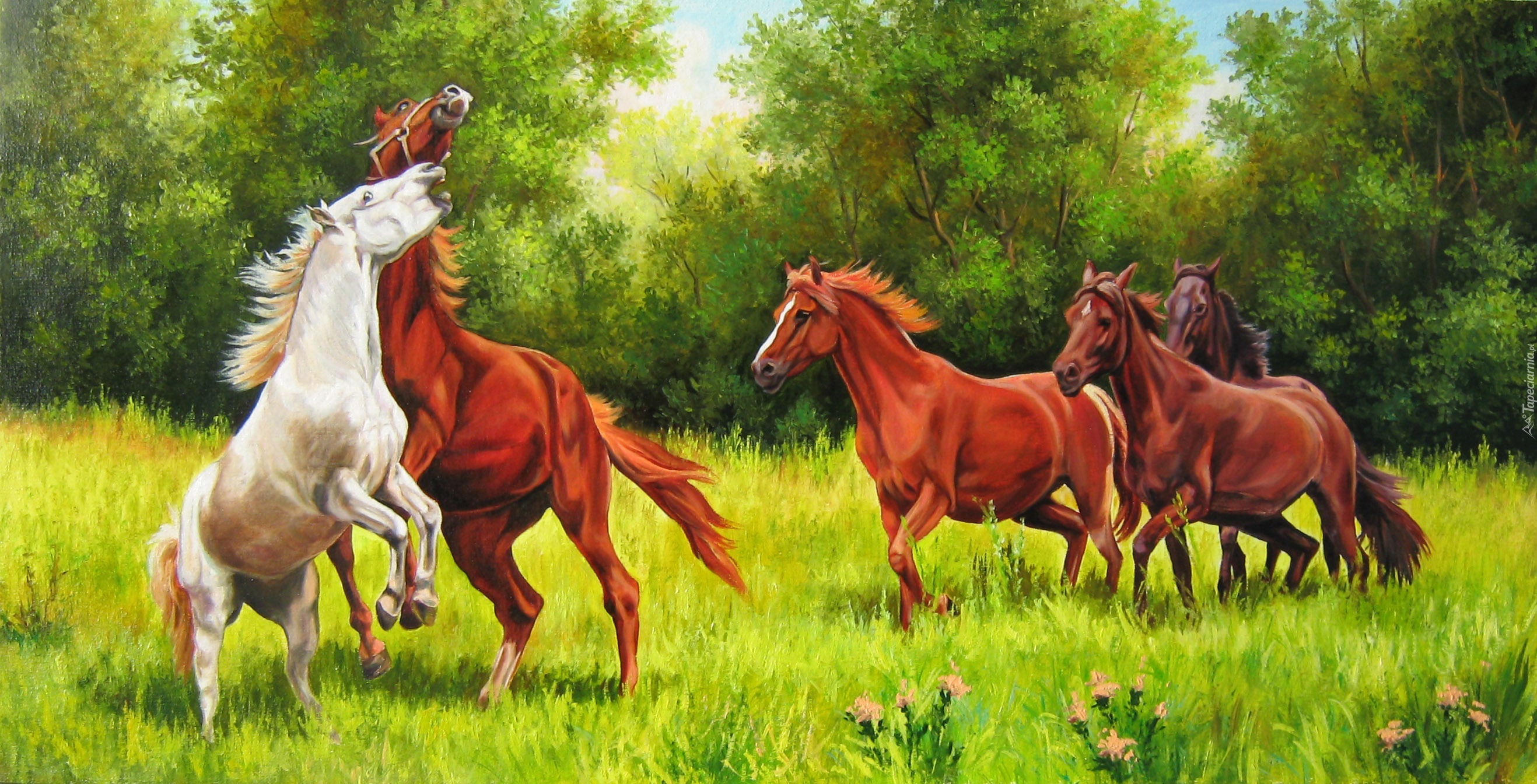 Konie, Łąka, Drzewa