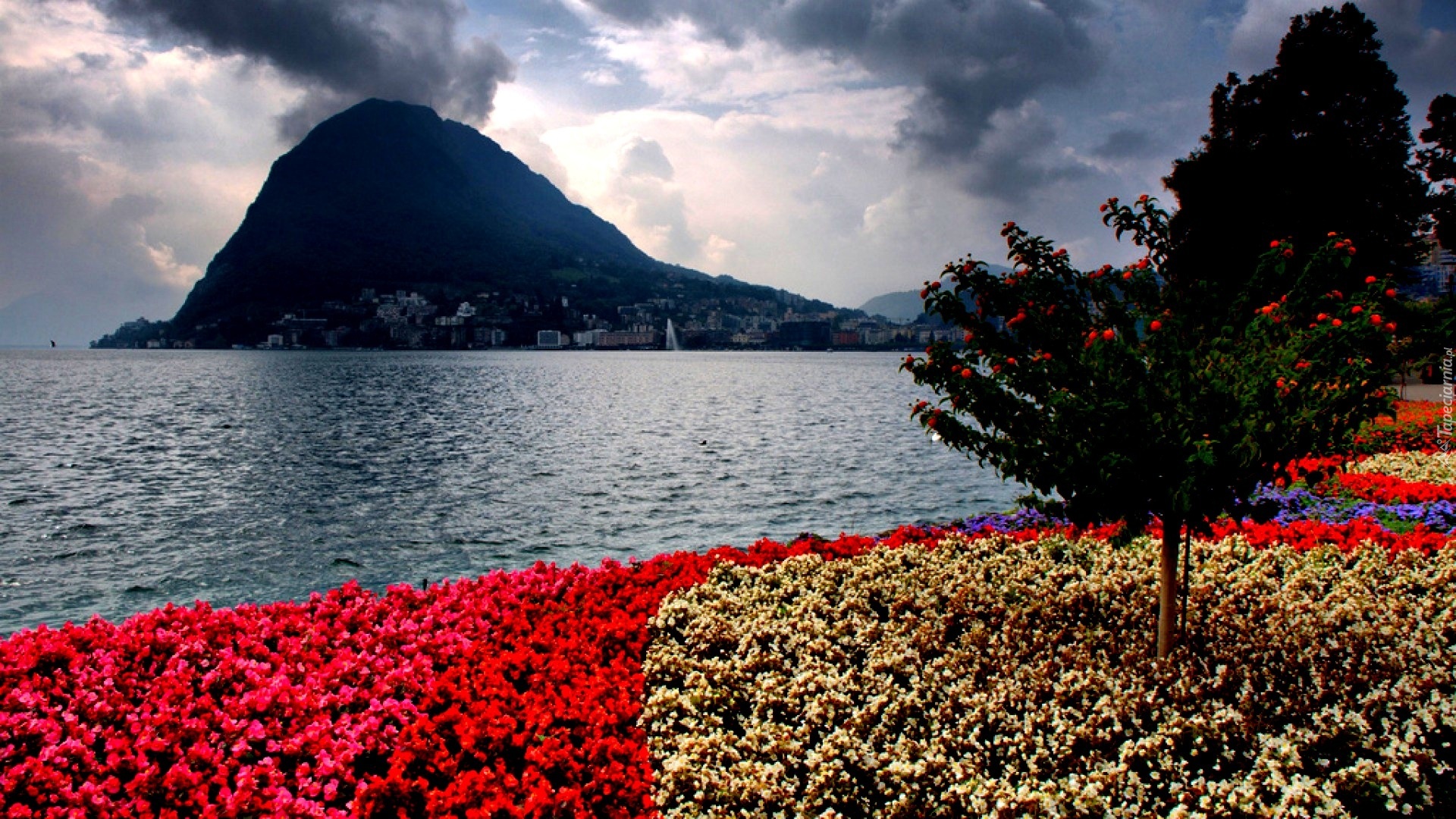 Góra, Jezioro, Kwiaty