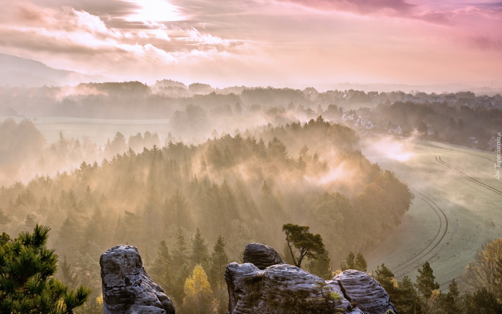 Skały, Drzewa, Las, Mgła