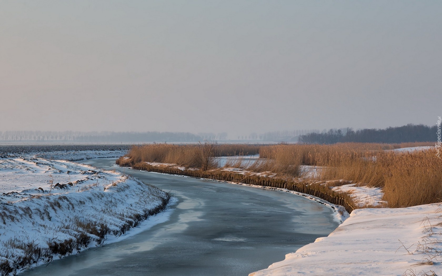 Rzeka, Trawa, Śnieg, Zima