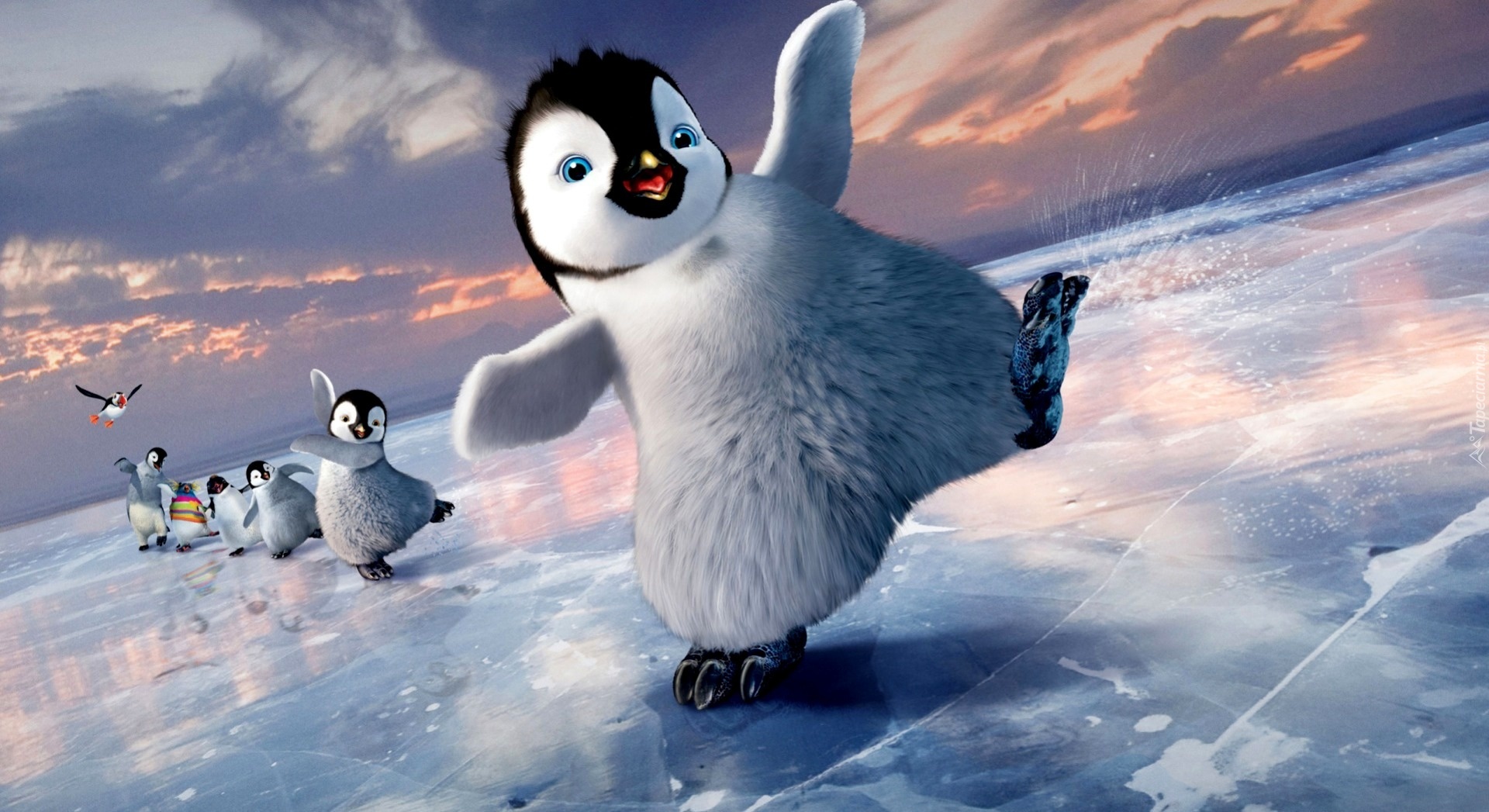 Wesołe, Pingwiny, Tupot Małych Stóp, Happy Feet