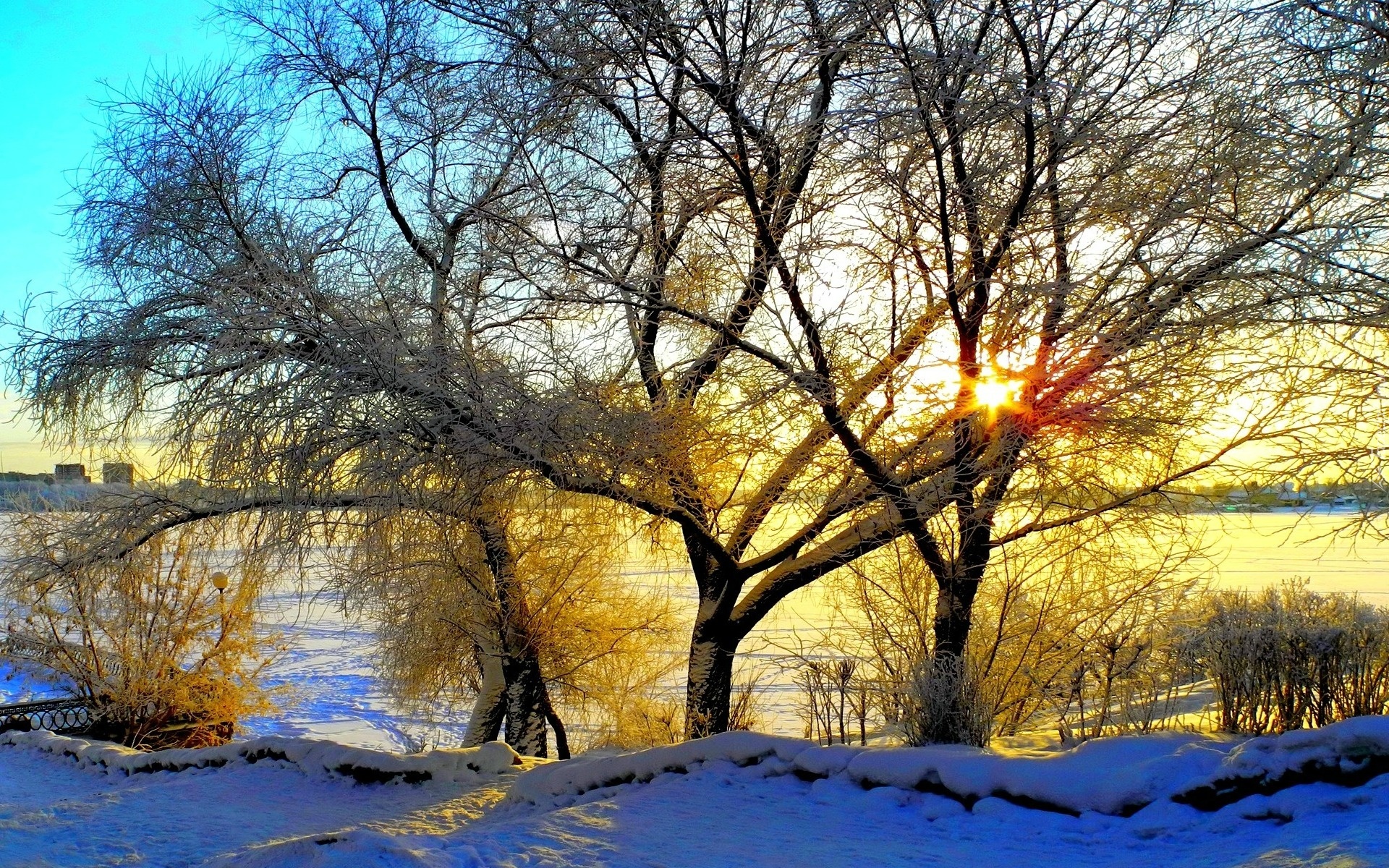 Rzeka, Drzewa, Promienie, Słońca, Zima