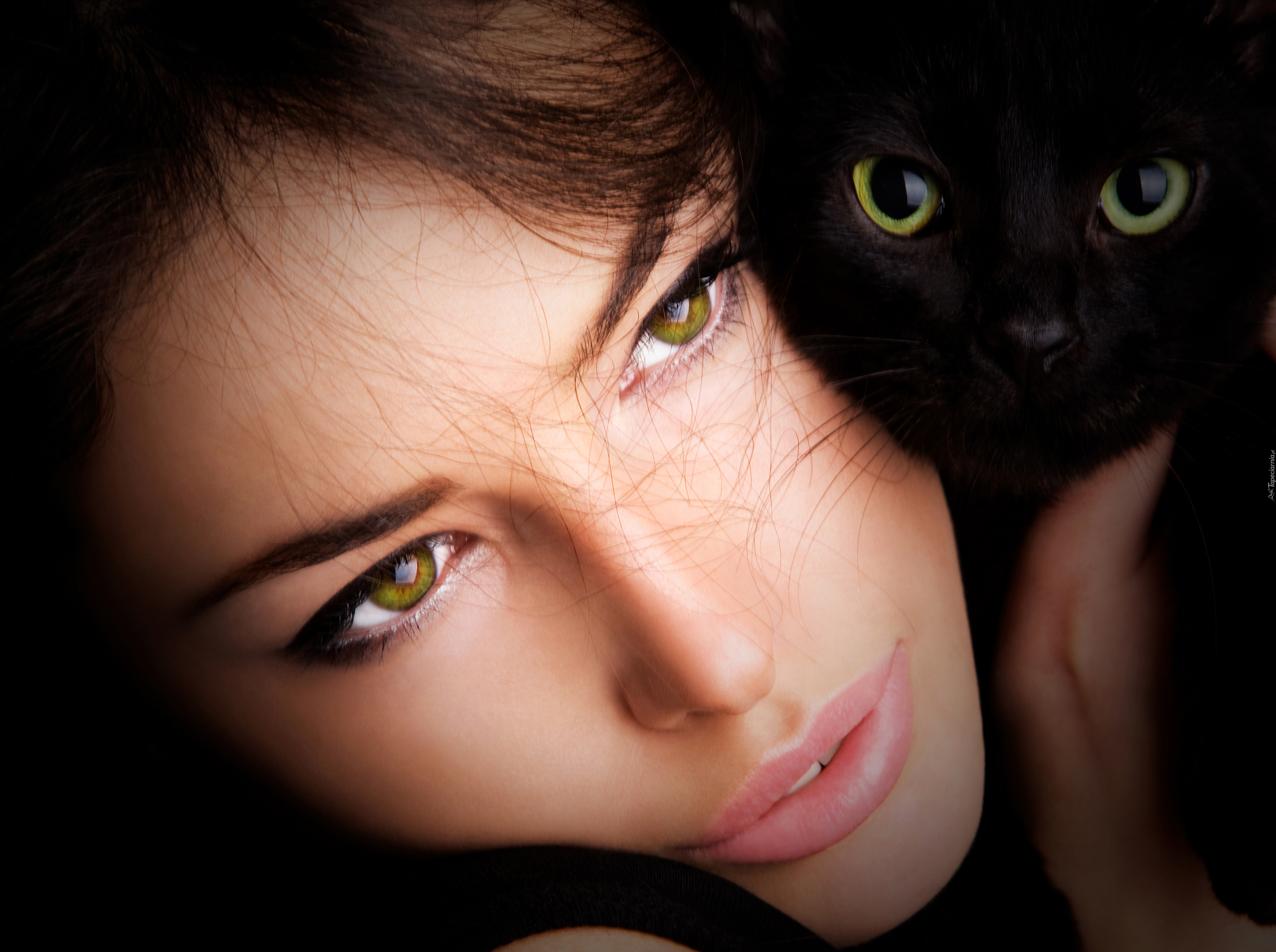 Взгляд как у кошки песня. Зелёные глаза у девушек. Девушка с кошачьими глазами. Красивые женские глаза. Кошачий взгляд у девушки.