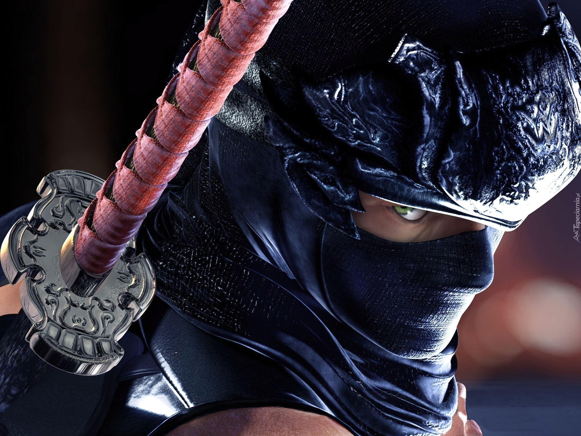 Ninja Gaiden, Ryu Hayabusa, image size:1920x1440
