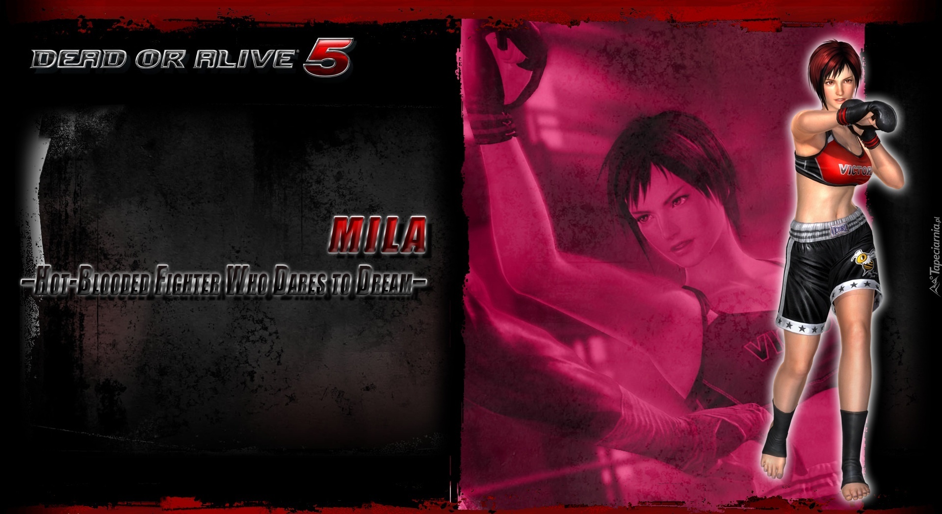 Dead Or Alive 5, Mila