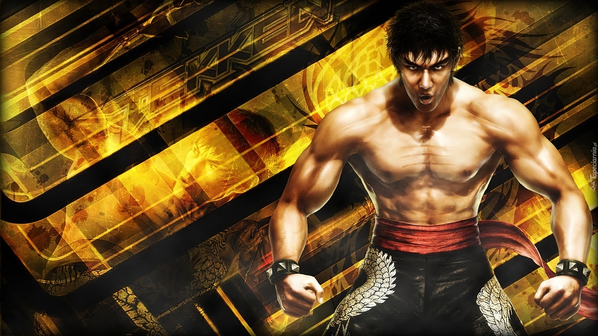 Tekken 6, Marshal Law