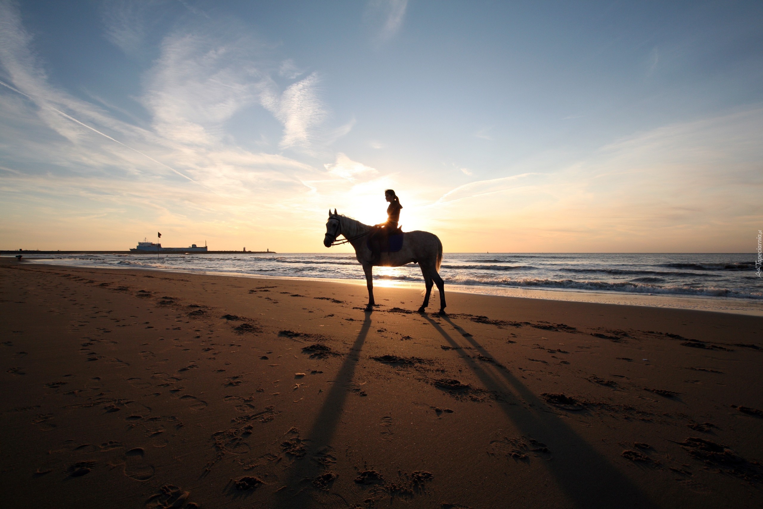 Morze, Plaża, Koń, Dziewczyna