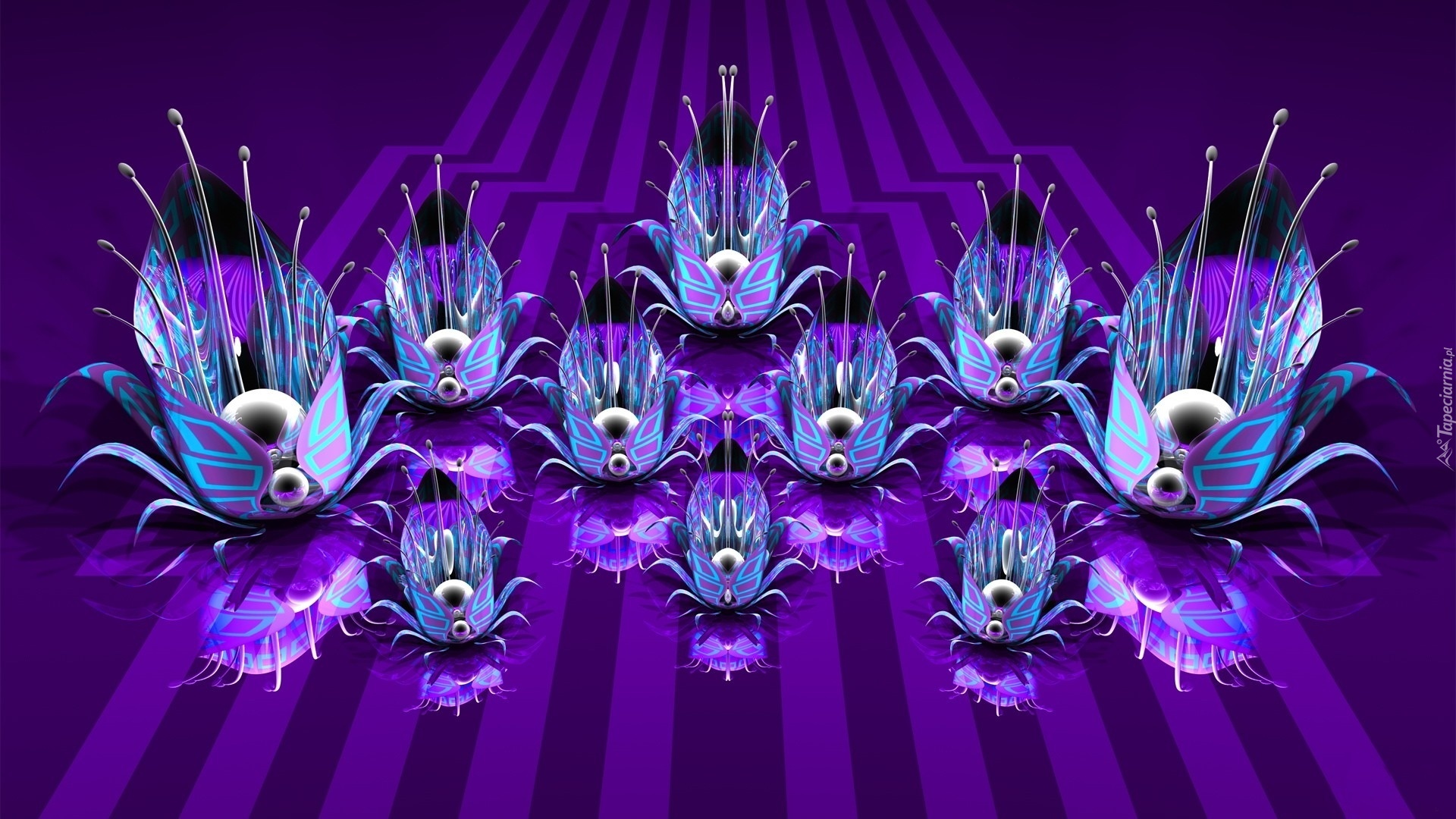 Abstrakcja, Kwiaty, Grafika 3D