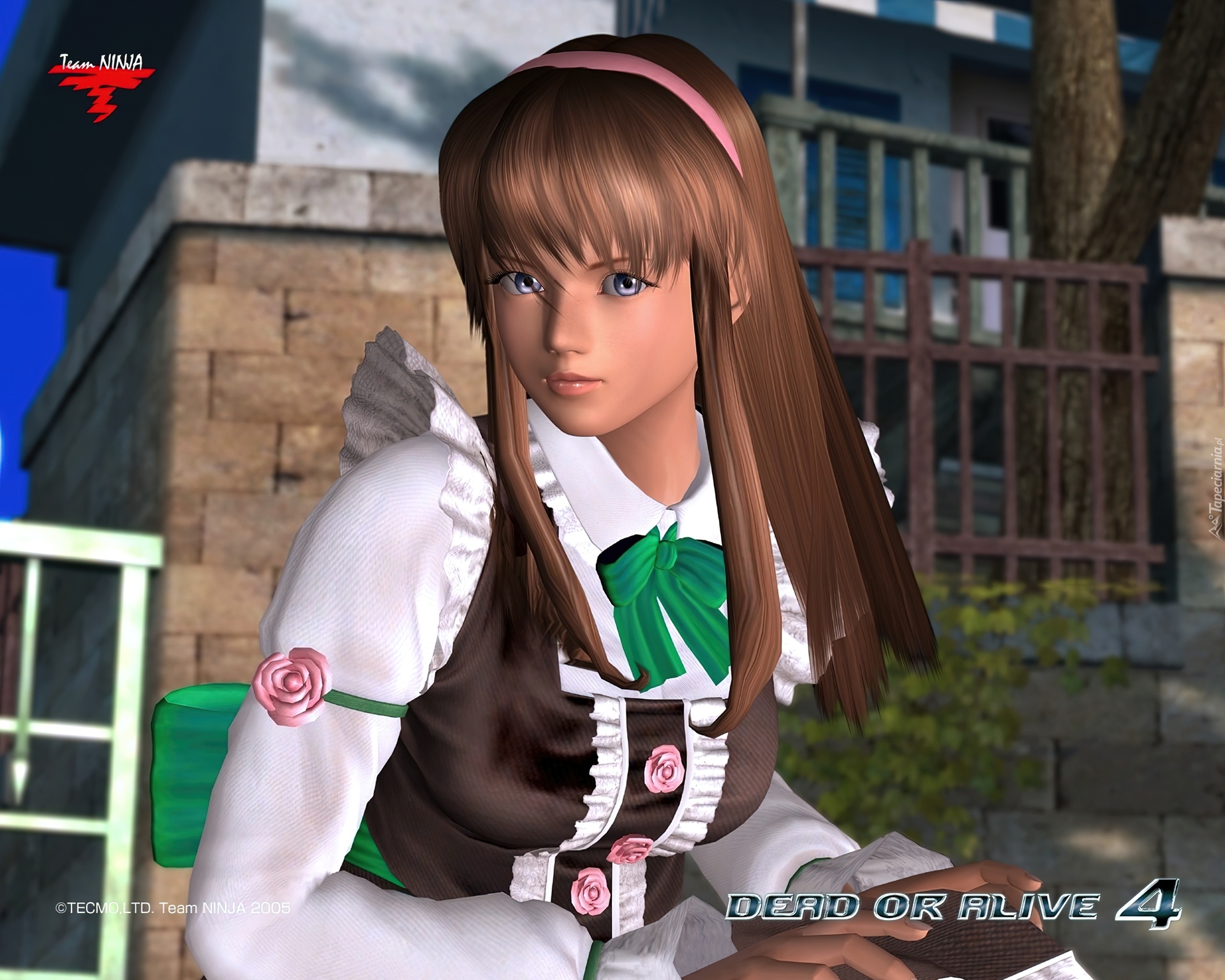 Dead Or Alive 4, Hitomi