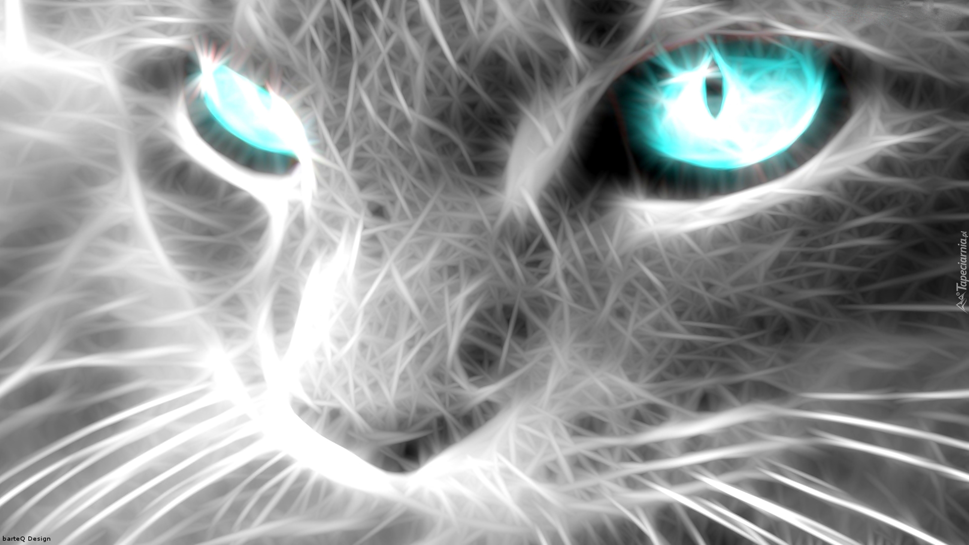 Kot, Fractulius, Niebieskie, Oczy