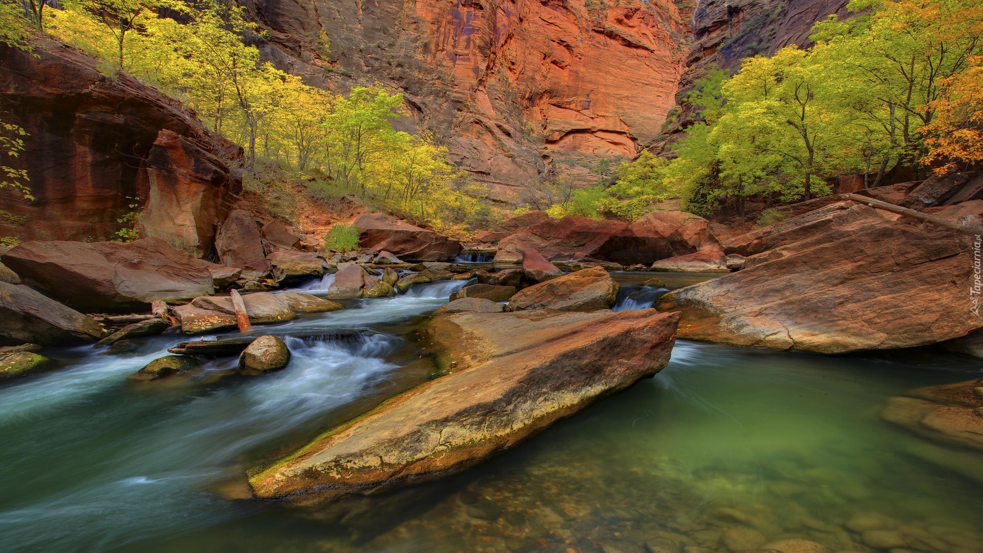 Stany Zjednoczone, Stan Utah, Park Narodowy Zion, Rzeka Virgin River, Skały, Drzewa, Kanion