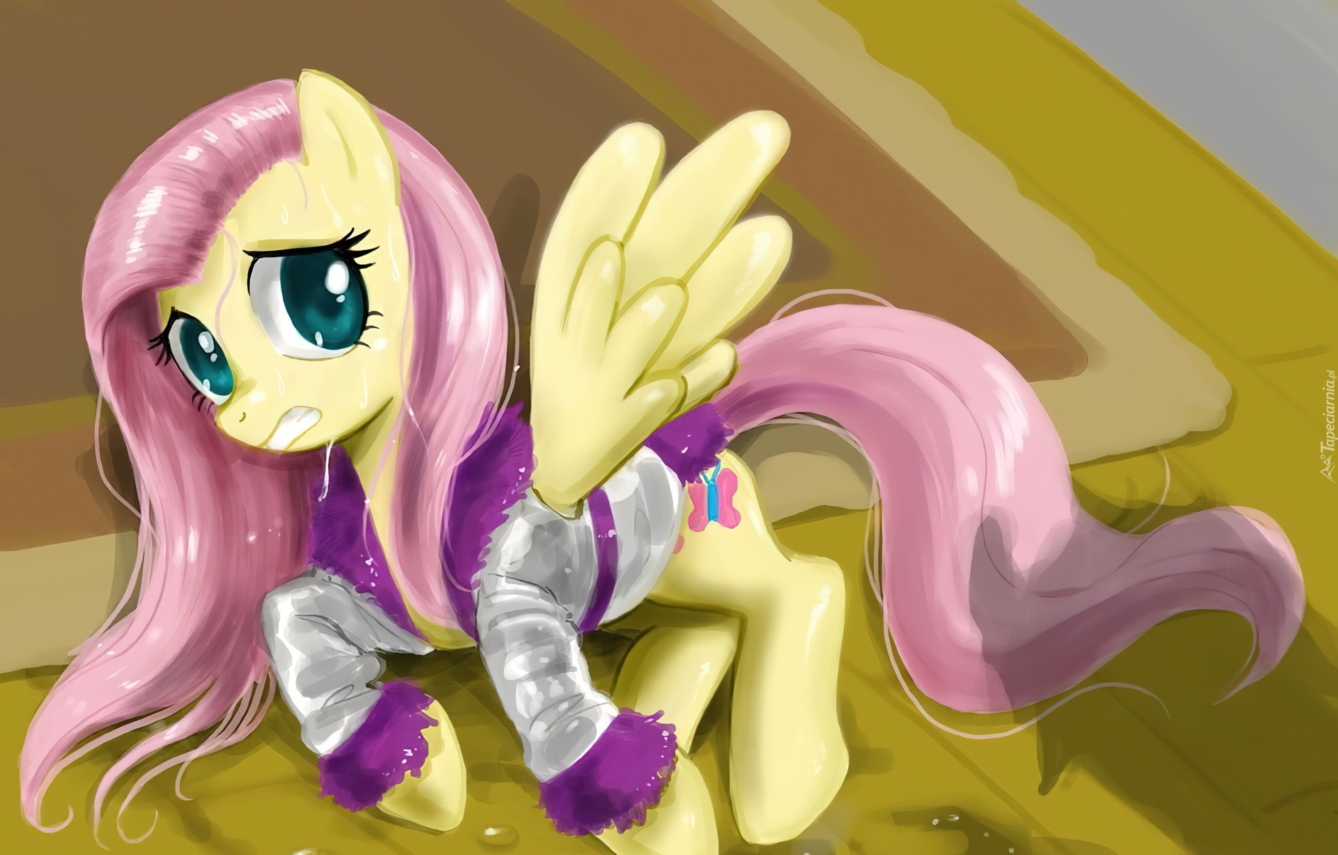 My Little Pony Przyjaźń To Magia, Fluttershy