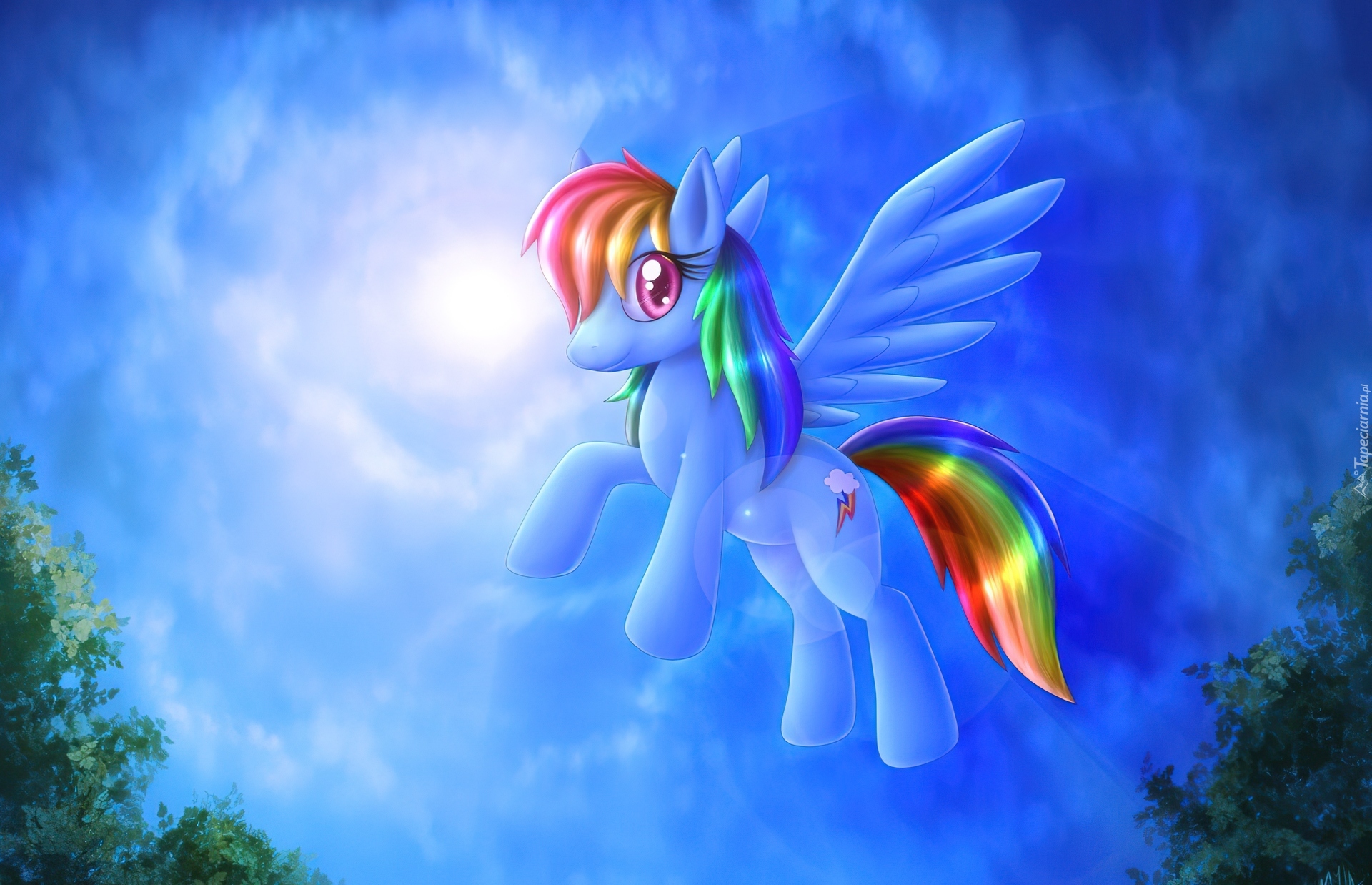 My Little Pony Przyjaźń To Magia, Rainbow Dash