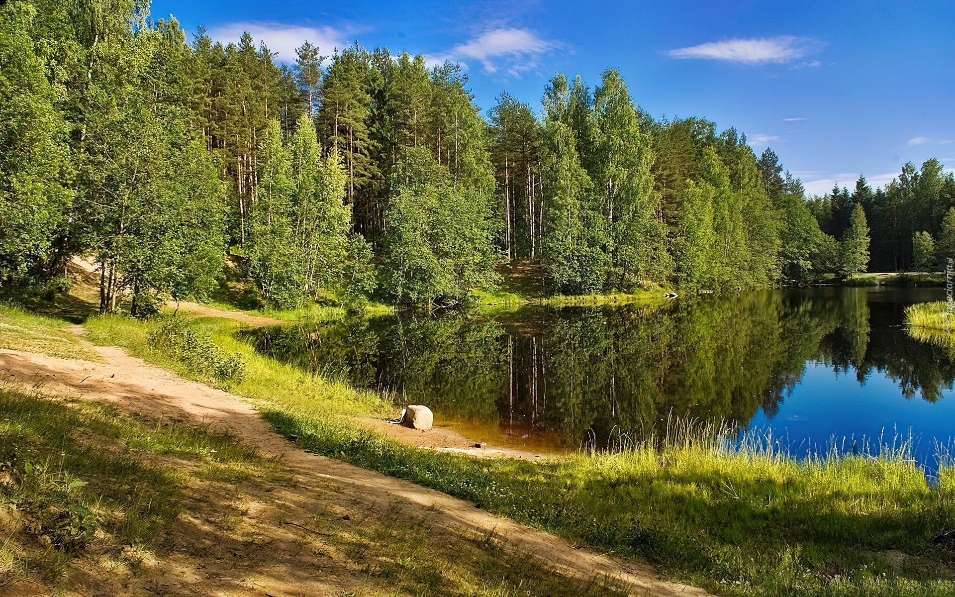 Jezioro, Las, Ścieżka