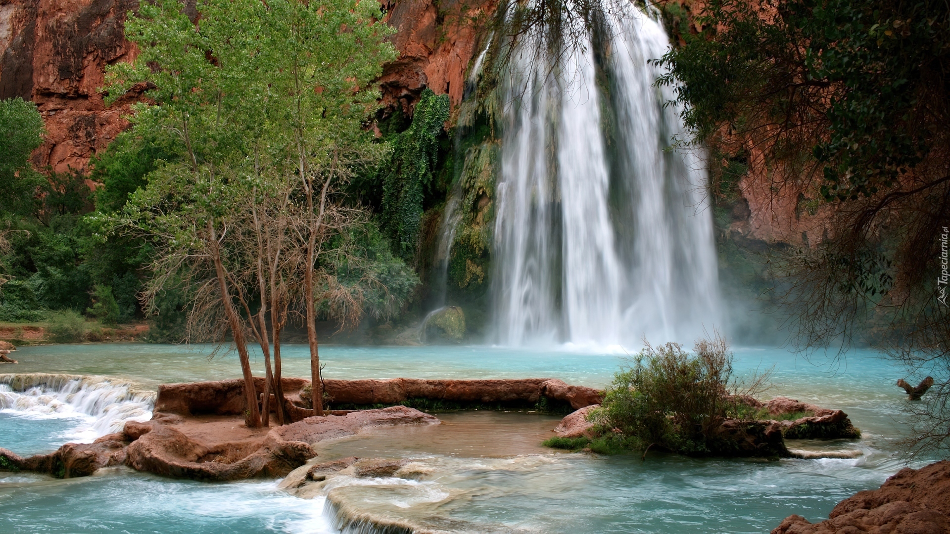 Wodospad, Havasu, Drzewa, Skały, Arizona