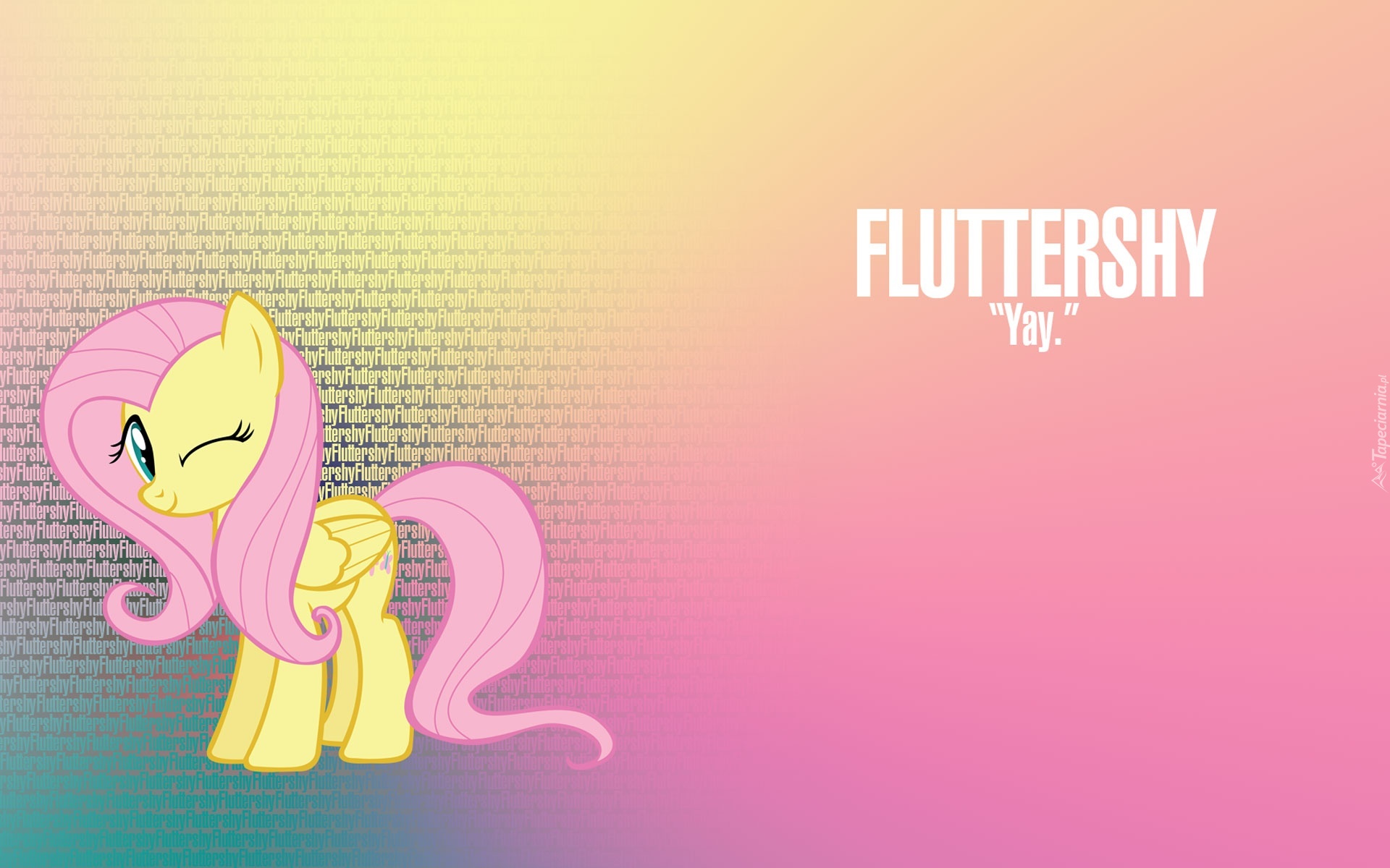 My Little Pony Przyjaźń To Magia, Fluttershy