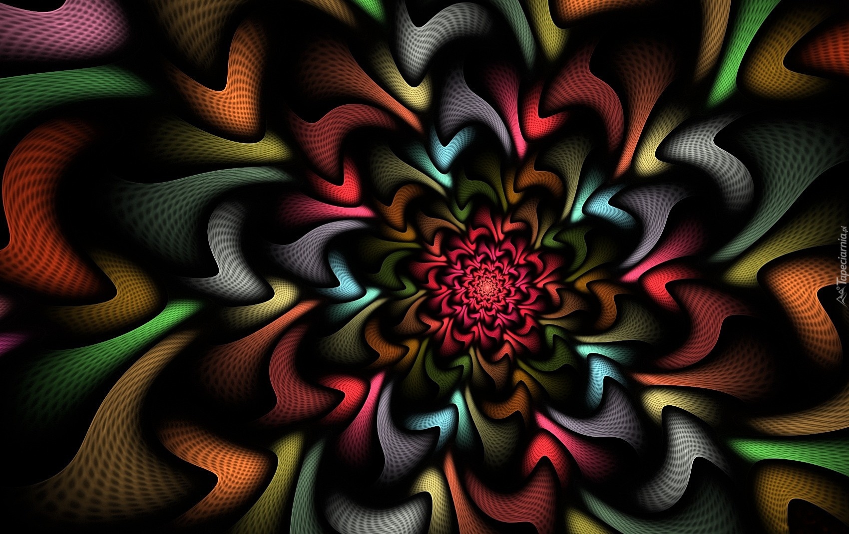 Kwiat, Abstrakcja, Grafika