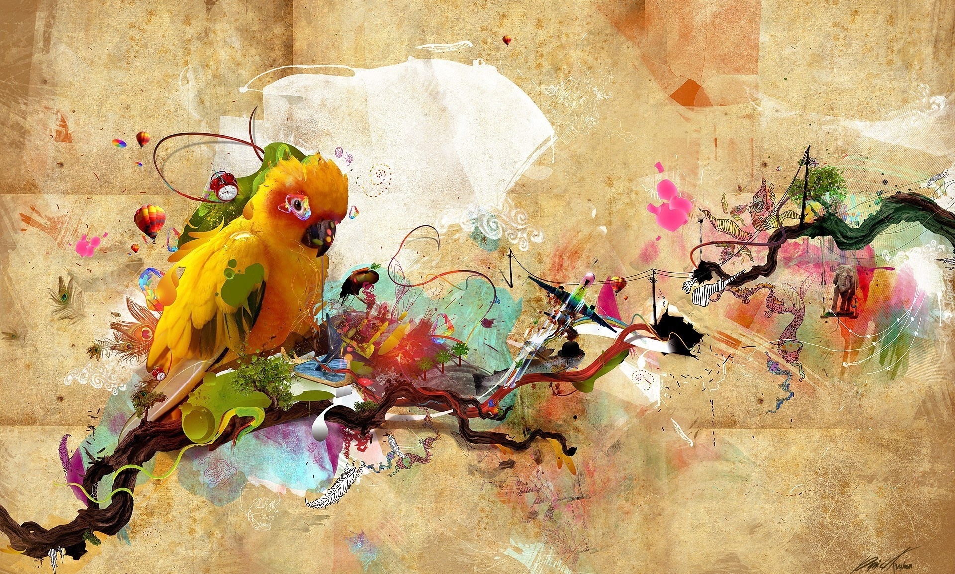 Żółta, Papuga, Grafika
