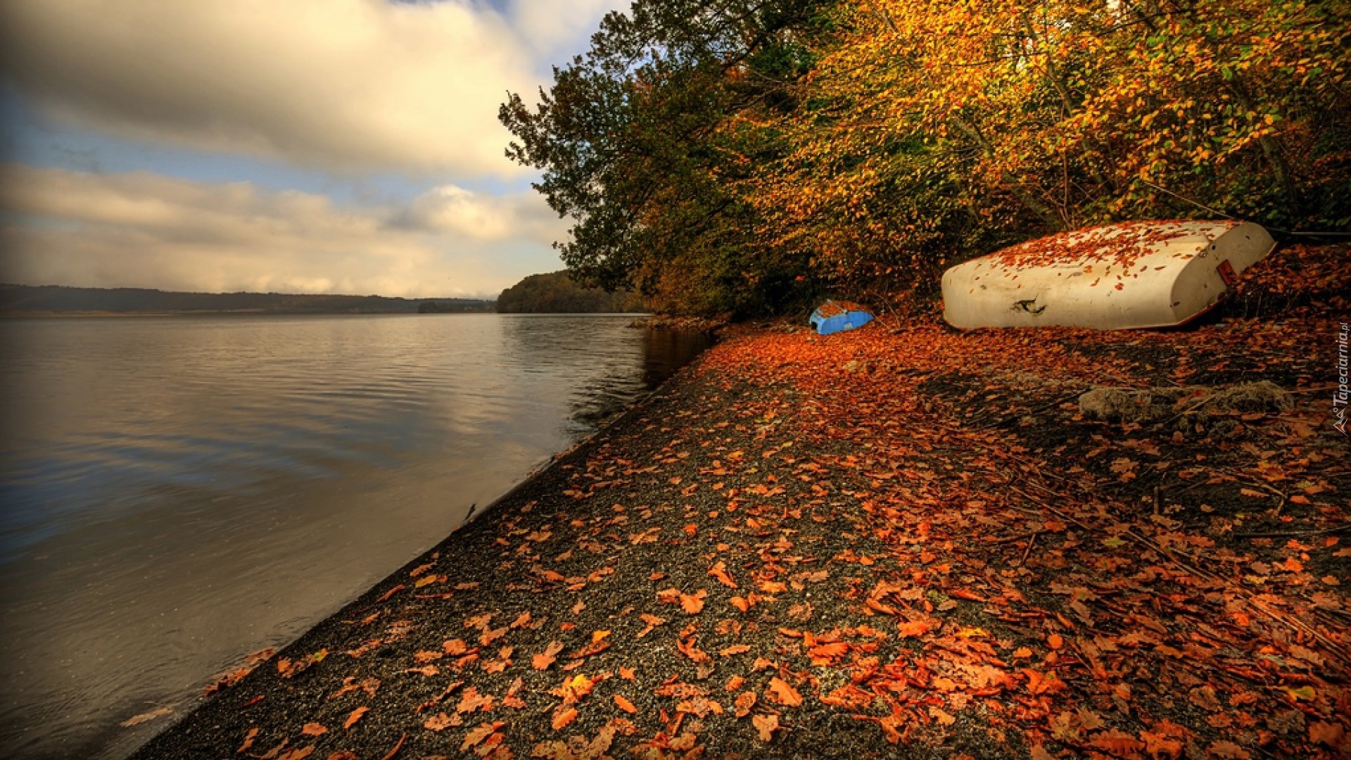 Jezioro, Plaża, Jesień