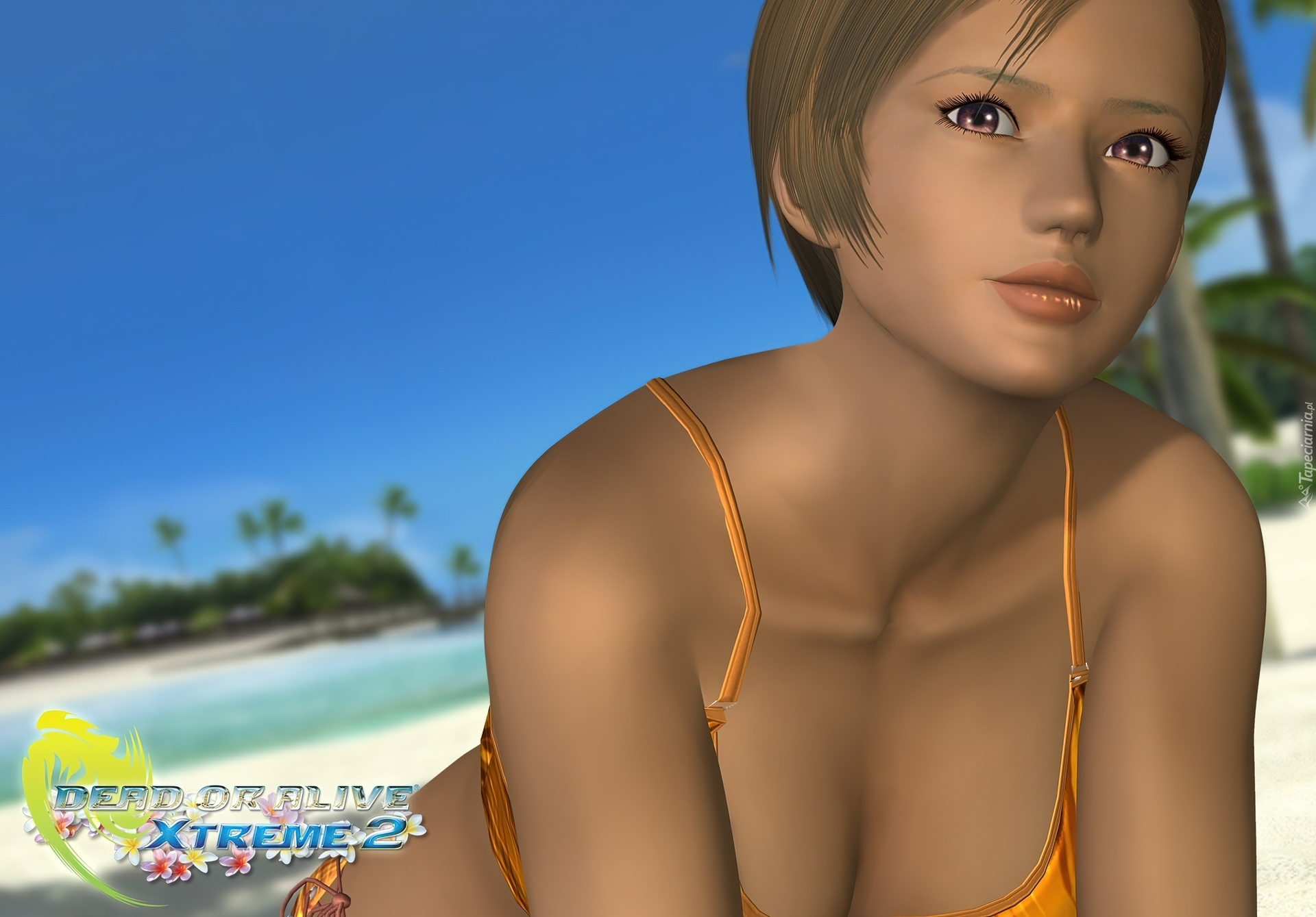 Dead Or Alive Xtreme 2, Lisa Hamilton