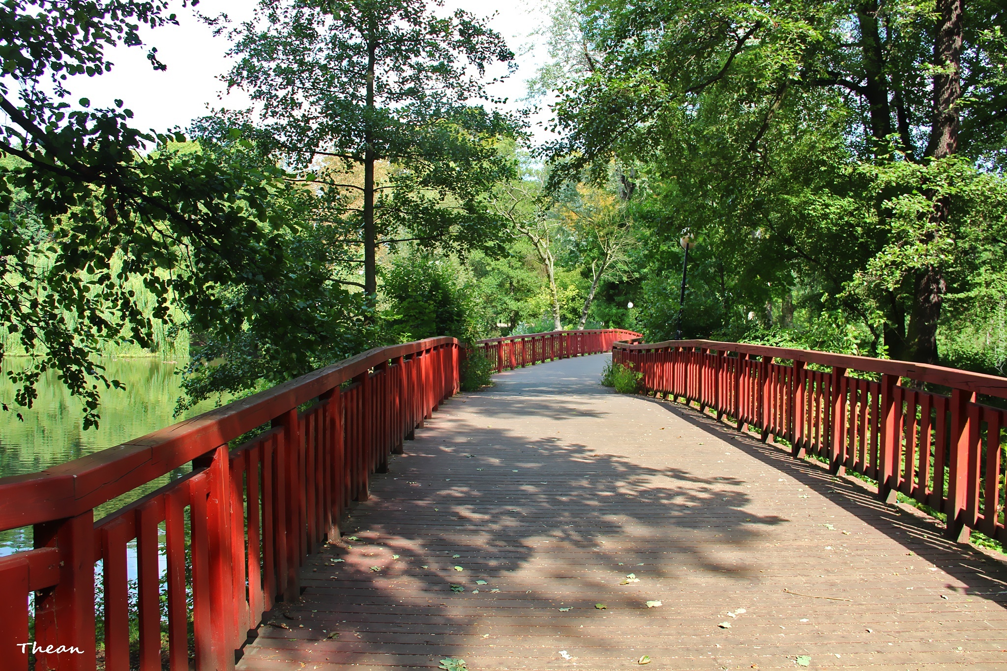 Drewniany, Most, Park, Drzewa