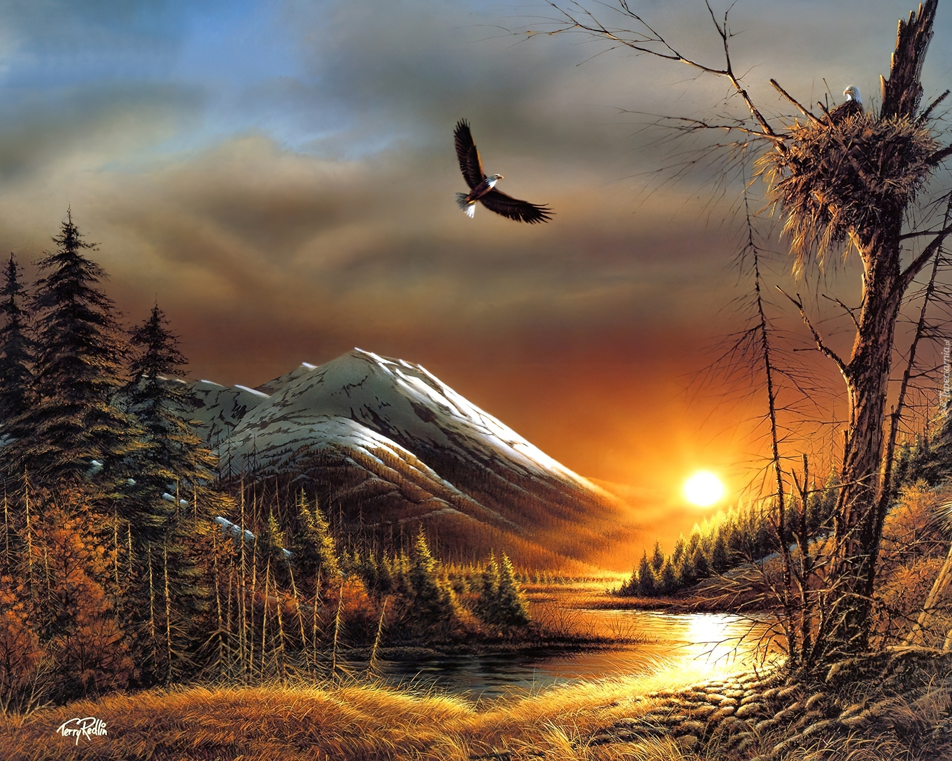 Góry, Zachód słońca, Ptaki, Terry Avon Redlin