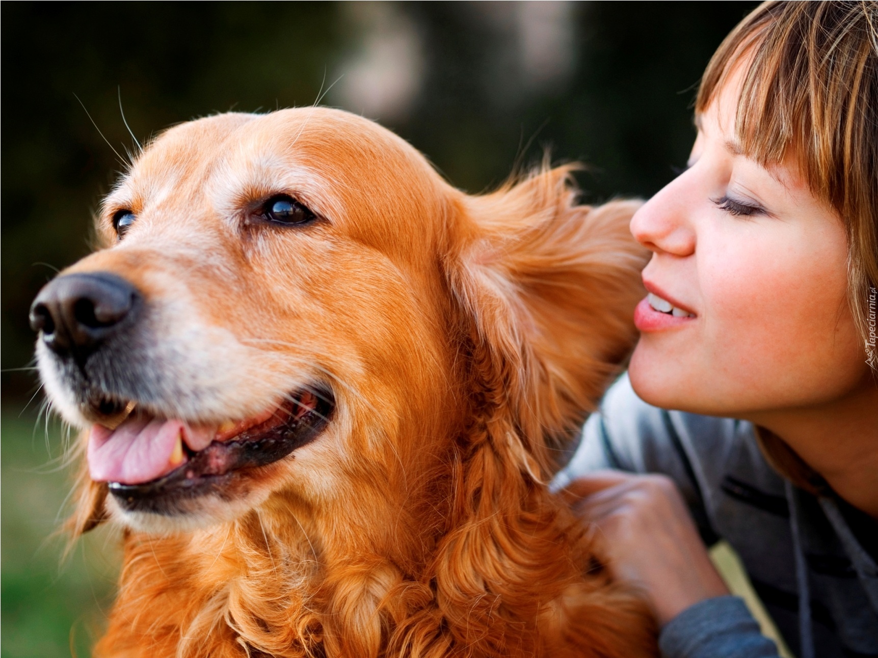 Pies, Golden, Retriever, Dziewczyna