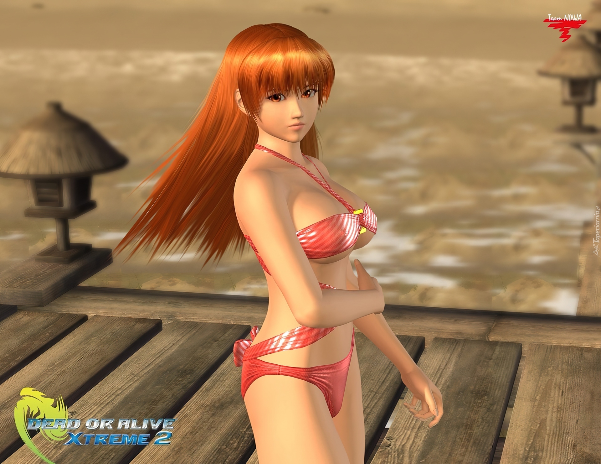 164819_dead_or_alive_xtreme_2_kasumi.jpg