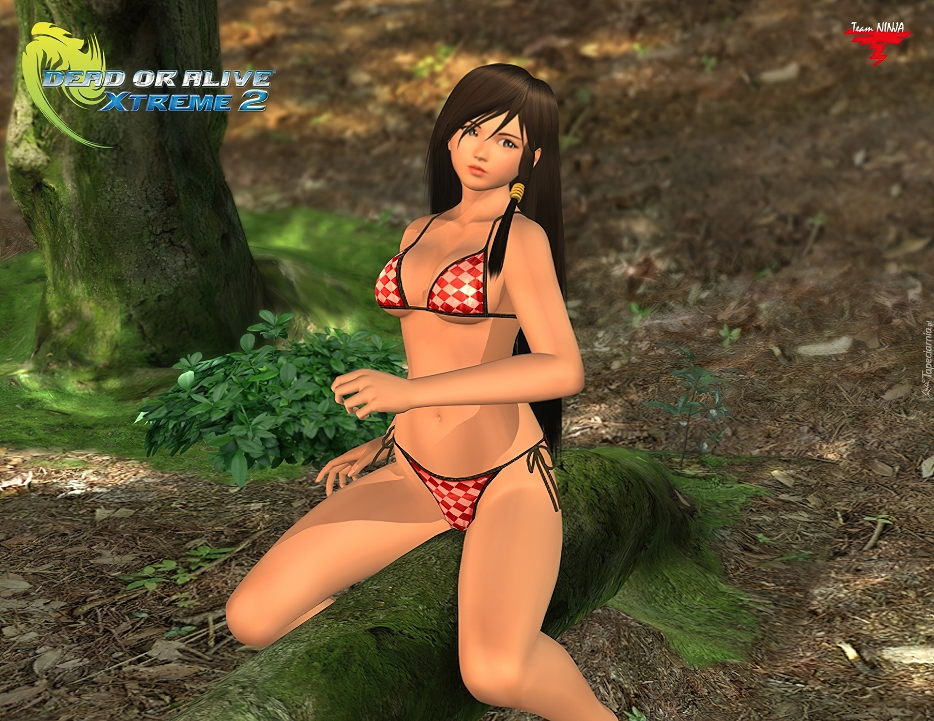 Dead Or Alive Xtreme 2, Kokoro