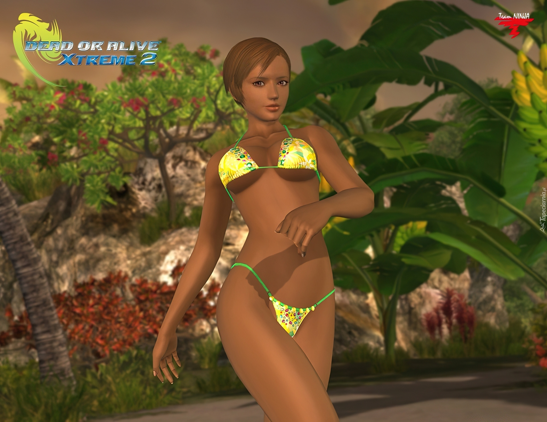 Dead Or Alive Xtreme 2, Lisa Hamilton