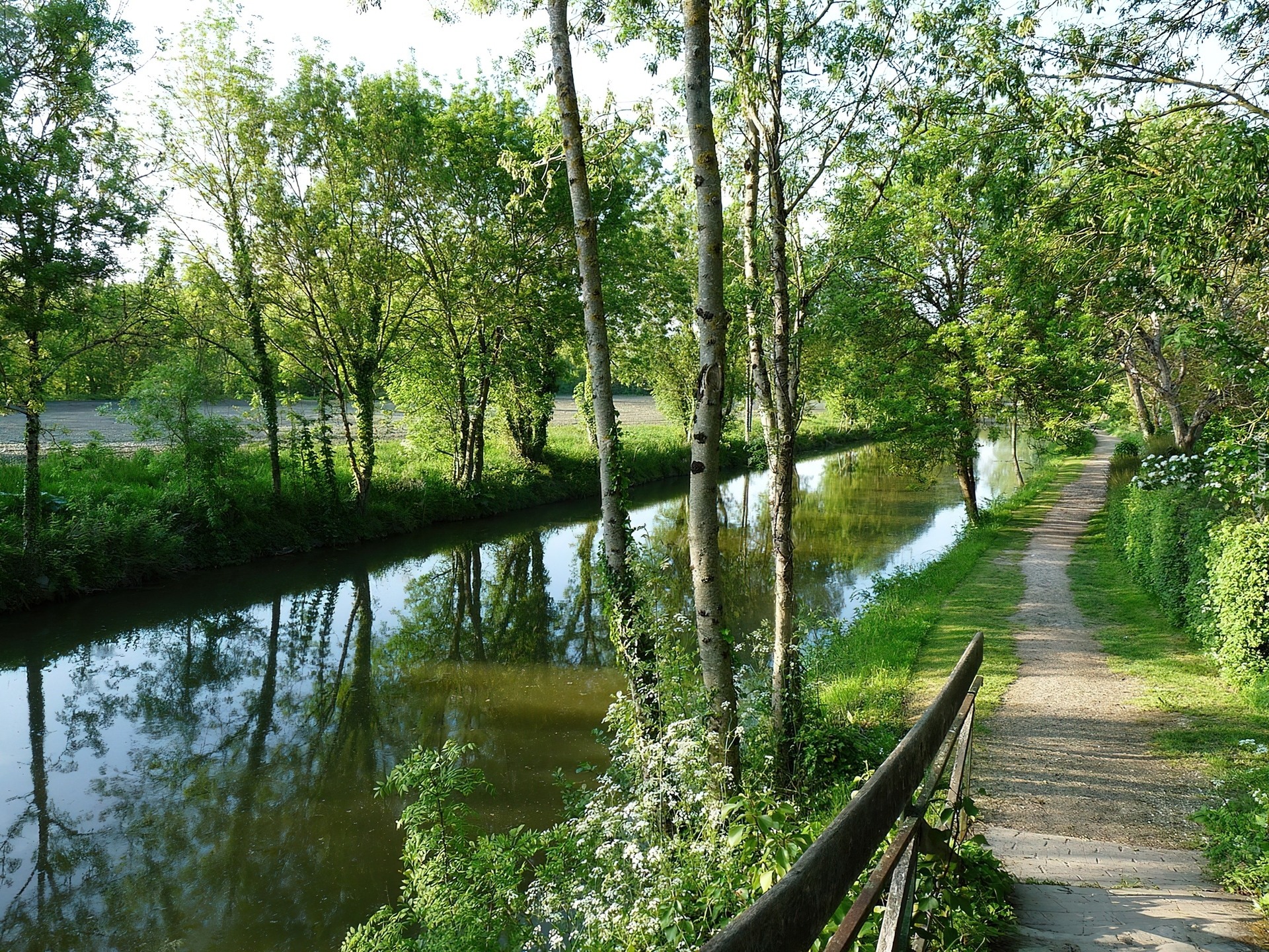 Rzeka, Ścieżka, Drzewa