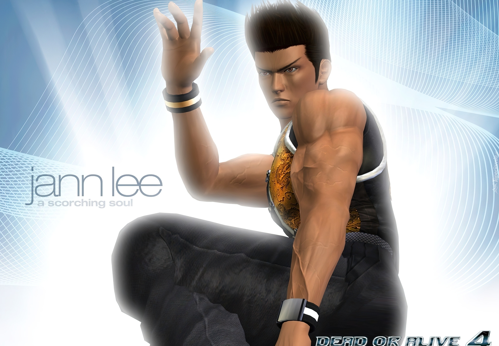 Dead Or Alive 4, Jann Lee