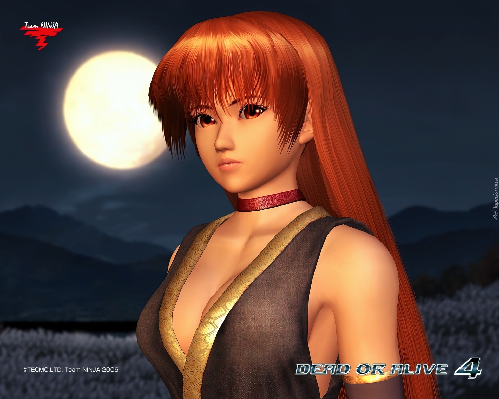 Dead Or Alive 4, Kasumi