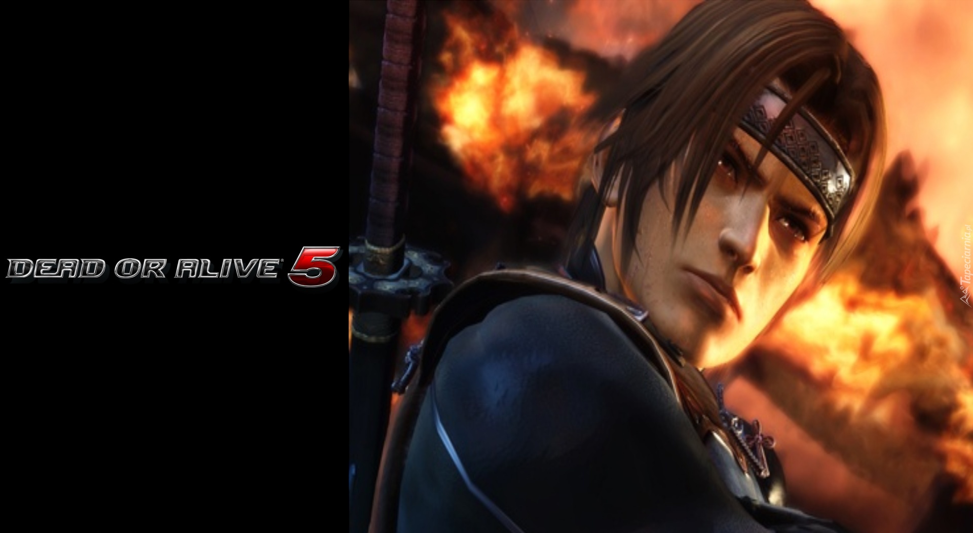 Dead Or Alive 5, Hayate