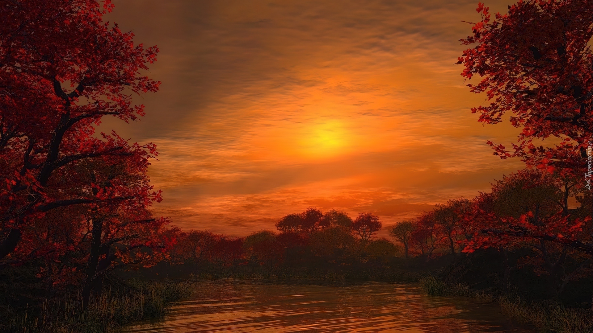 Zachód Słońca, Drzewa, Jesień