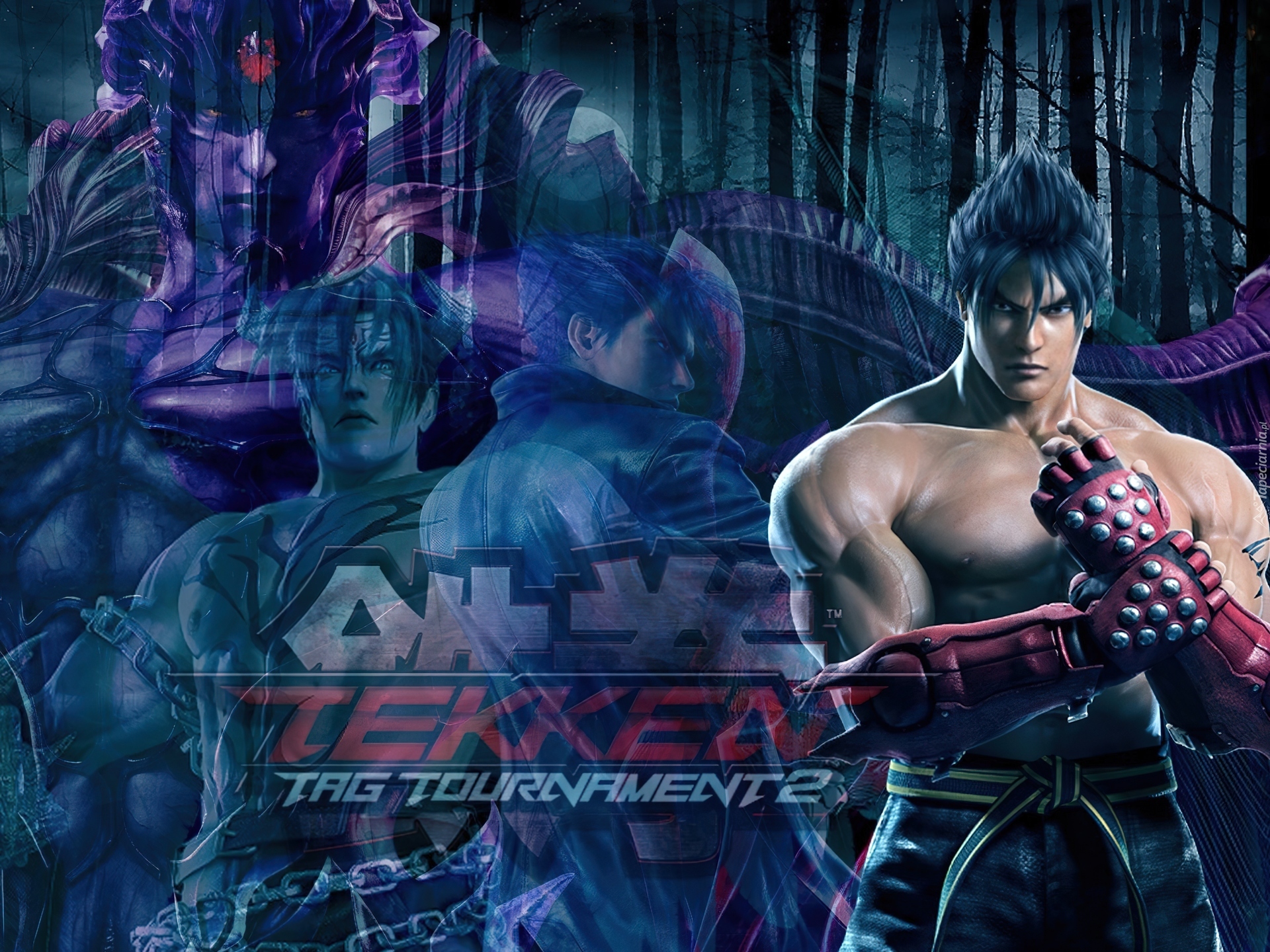 Tekken Tag Tournament 2, Jin Kazama