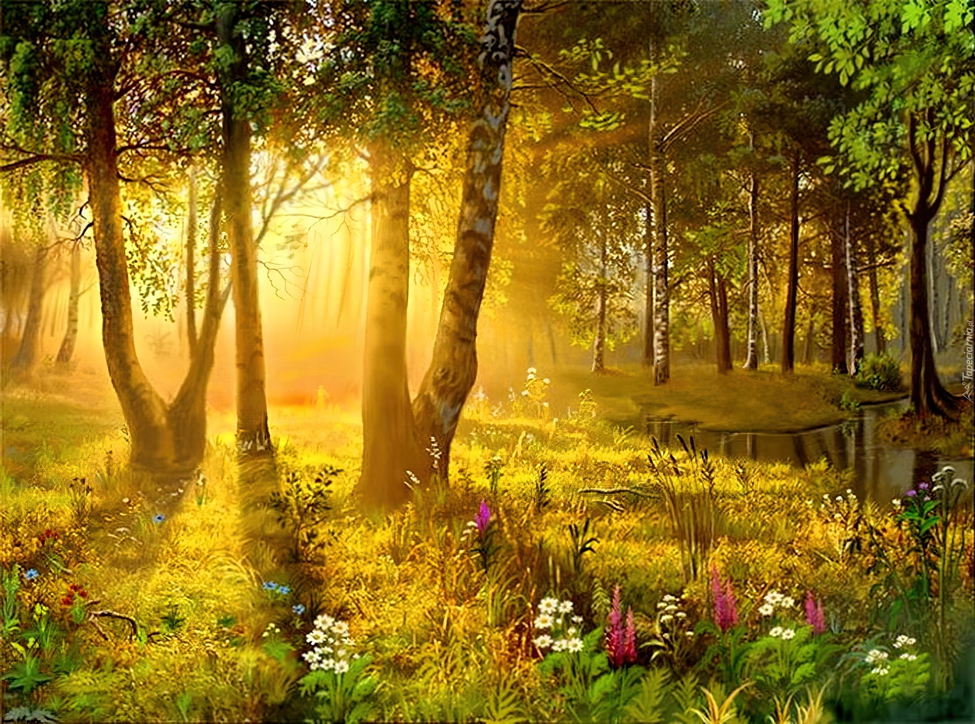 Песня утро в лесу. Сказочная природа. Сказочные Лесные пейзажи.