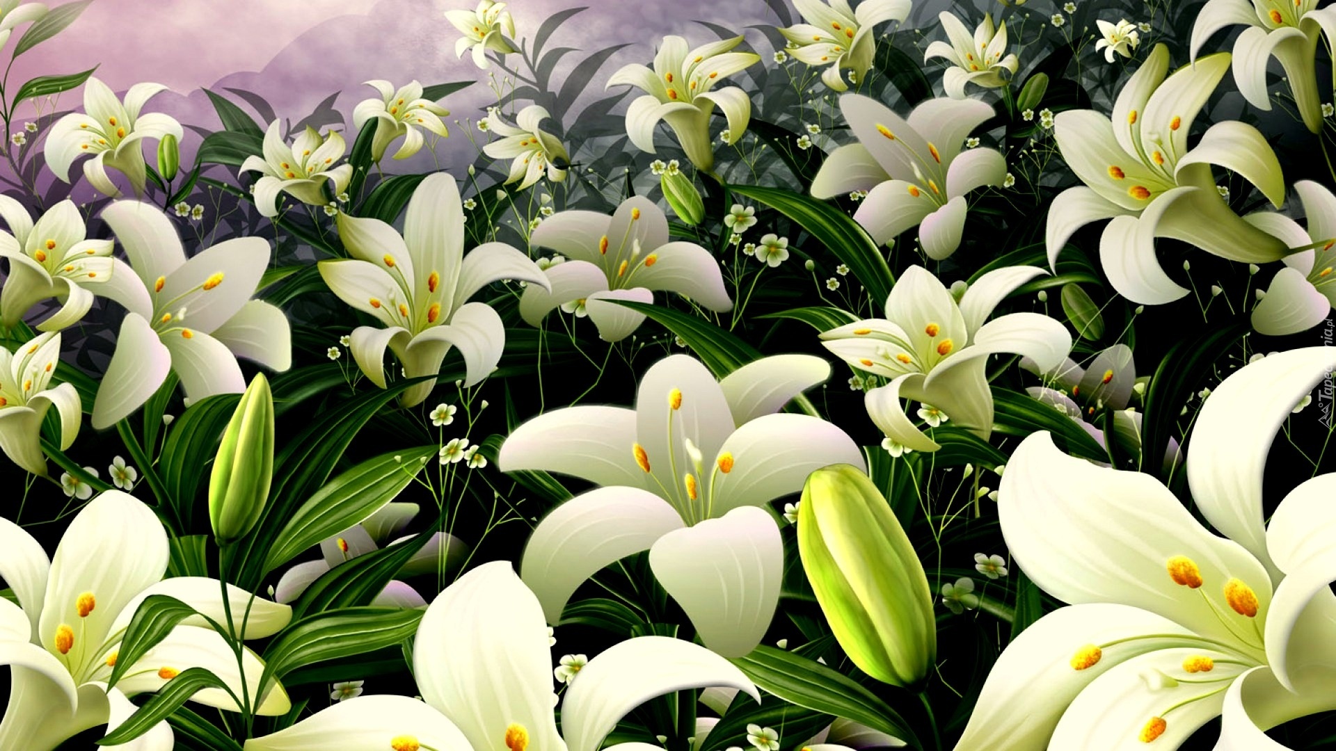 Wielkanocne, Kwiaty, Biała, Lilia