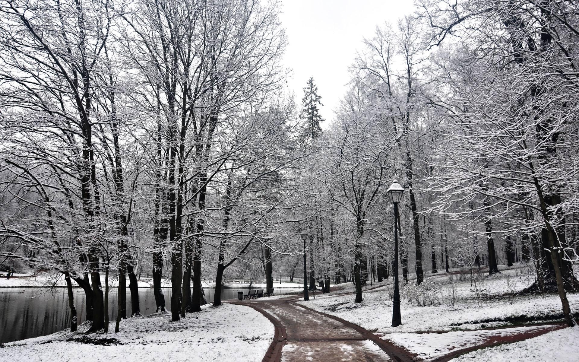 Park, Rzeka, Zima