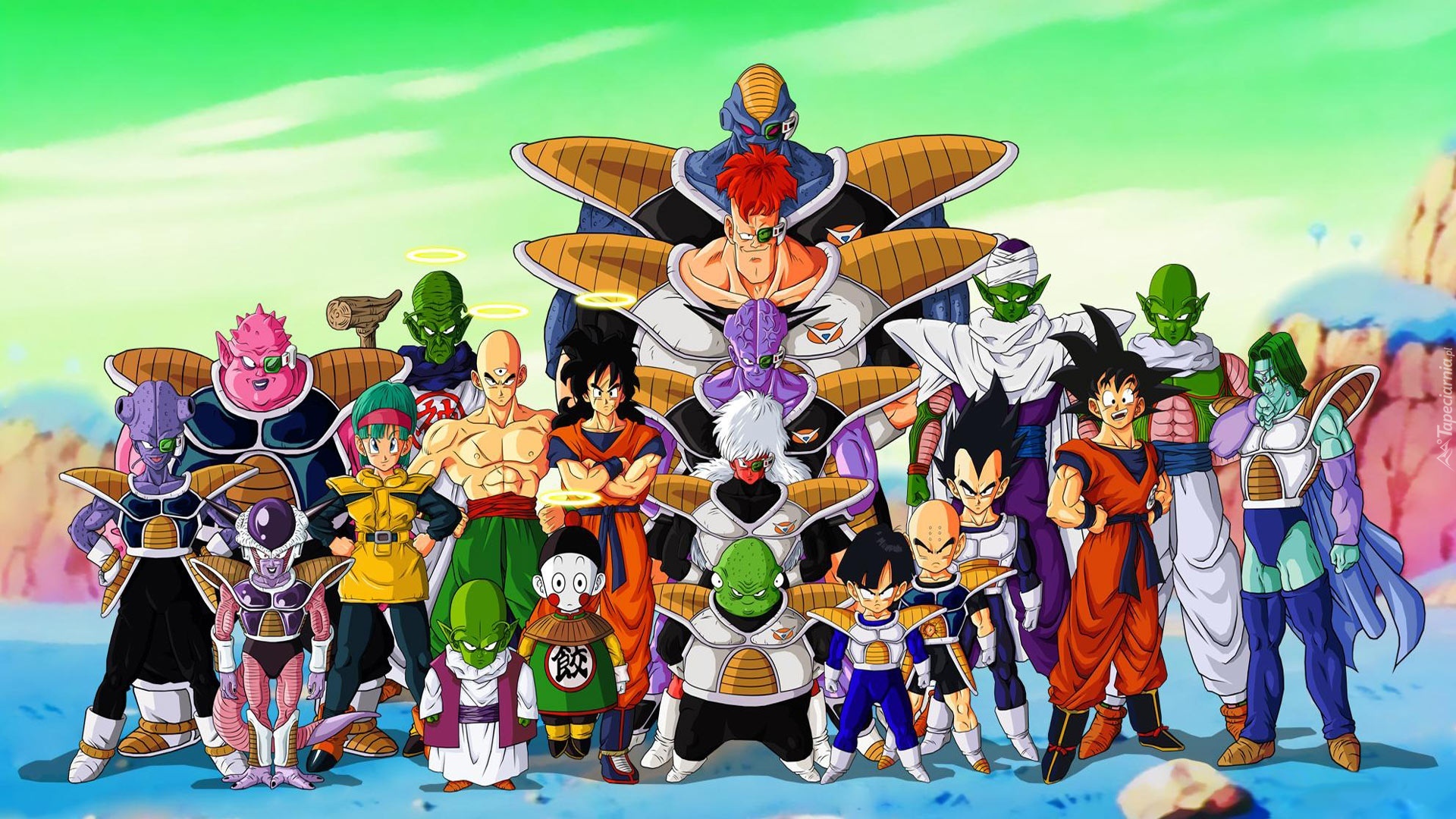 Dragon Ball Z, Son Goku, Vegeta