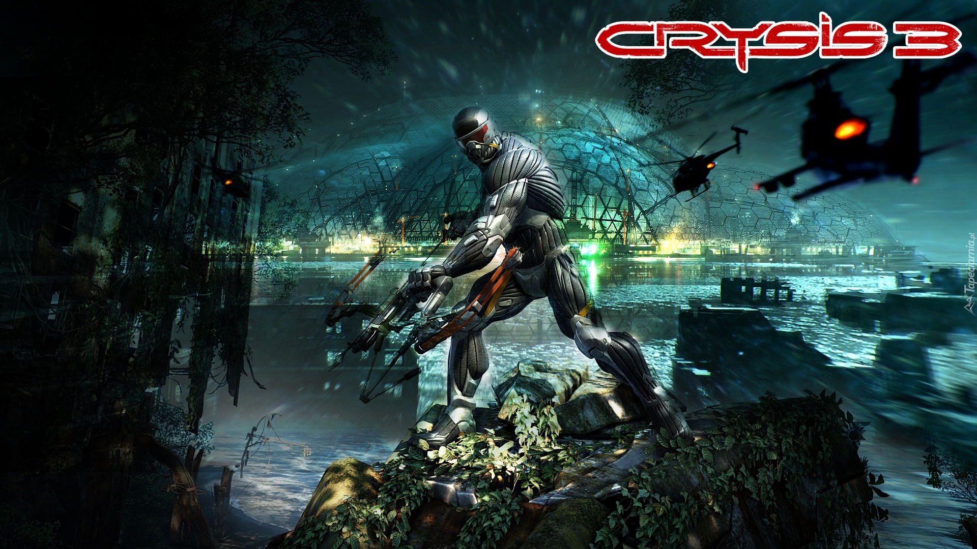 Crysis 3, Helikoptery, Kopuła
