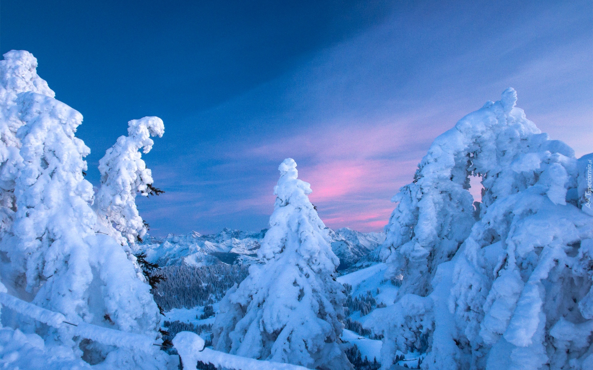 Góry, Las, Śnieg, Zima