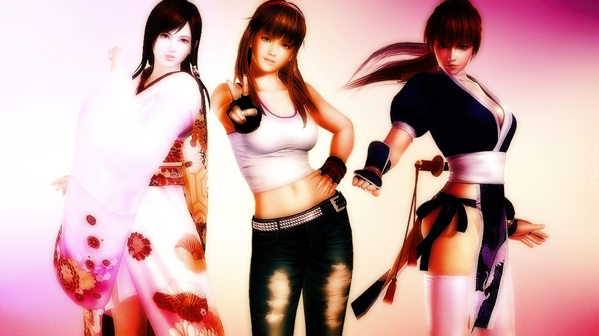 Dog or alive демо. Хитоми Dead or Alive. Хитоми Dead or Alive 5. Dead or Alive Кокоро. Dead or Alive 5 Hitomi.